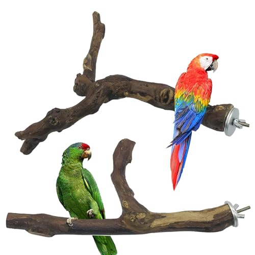 2 PCS Natural Grape Stick Fork Bird Perch Bird Standing Stick Chewing Bird Toys Natural Grapevine Bird Cage Perch for Parrot Cages Toy for Cockatiels (Style 13)