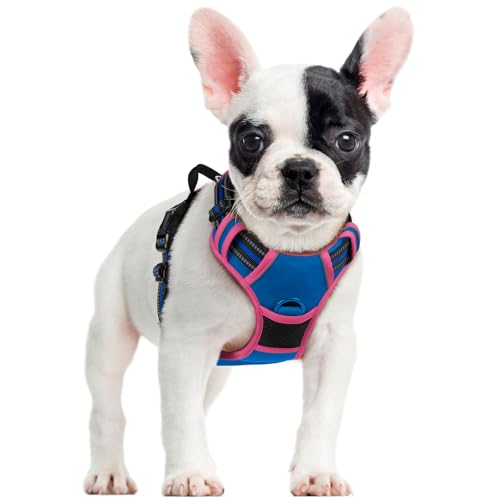 Dog Harness No Pull for Small Dogs with 2 Leash Clips