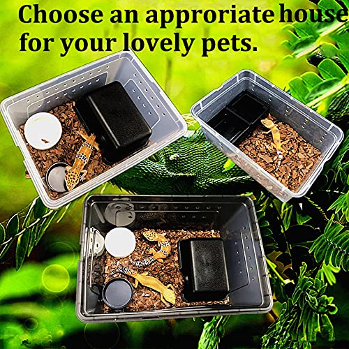 Reptile Enclosure Terrarium 2