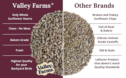 Whole Sunflower Hearts for Birds (4 Pound (Pack of 1))