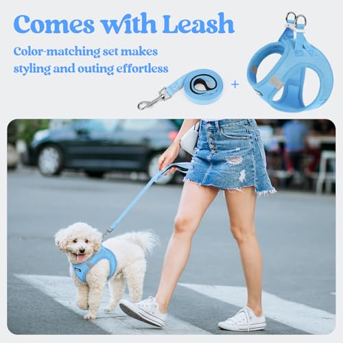 Dog Harness Medium Sized and Leash Set (Blue / M (chest: 16 - 18.5"))