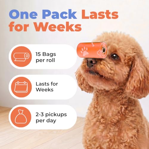 Poop Bags for Dogs (Orange / 240 Bags)