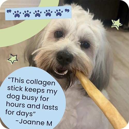 Small Collagen Braids 100% Natural Beef Chews for Dogs (5 Count (Pack of 1))
