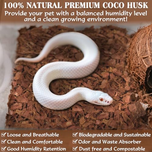 10LBS Coconut Husk Chip Substrate for Reptiles (1 Pack-10 LBS)