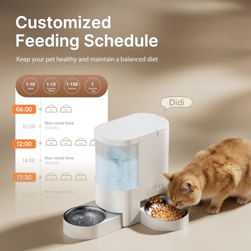 Automatic Cat Feeder and Water