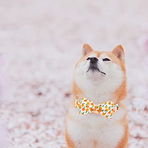 Dog Collar Peach Pattern Pet Collars with Bow Girl (Peach / X-Small (Pack of 1))