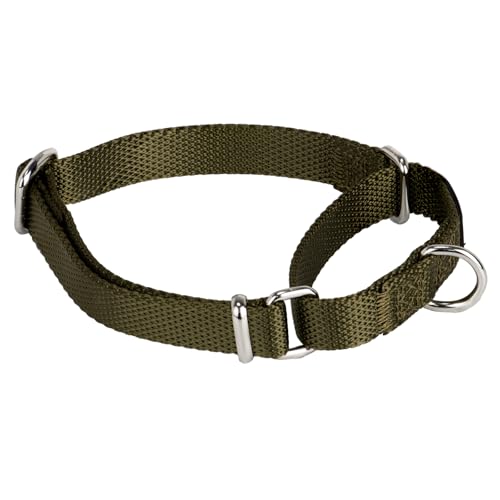 Martingale Dog Collar (Small / Army Green)