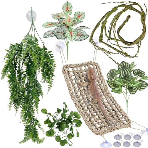 Reptile Plants for Bearded Dragon Tank Accessories (Group Bpn)
