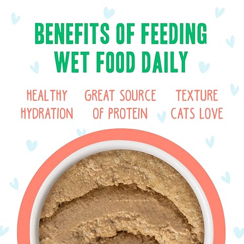 B.F.F. Play Best Feline Friend Paté Lovers (5.5 Ounce (Pack of 8))