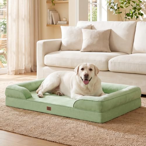 Orthopedic Extra Large Dog Bed (Sage Green / 44.0"l X 32.0"w X 6.5"th)