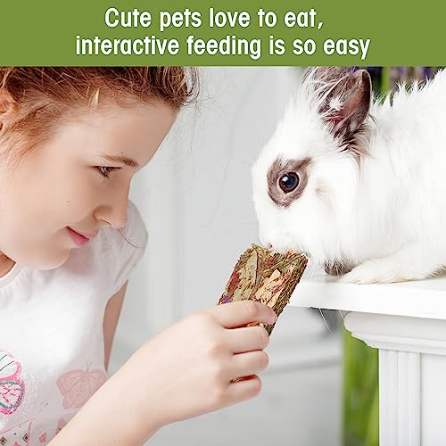 Rabbit Natural Treats (0.3 Ounce (Pack of 10))