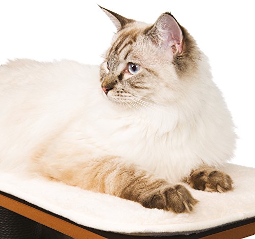 Vesper Cat Tree (Black)