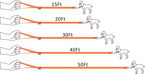 Dog Puppy Obedience Recall Training Agility Lead (Orange / 15 Feet)
