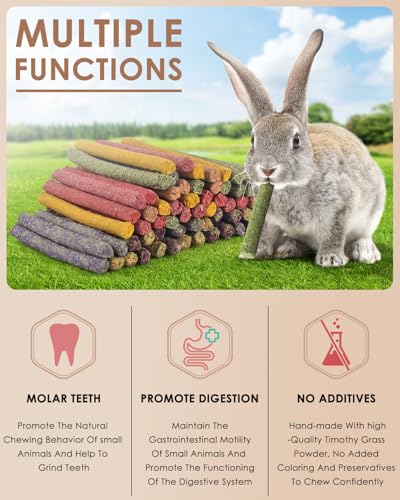 72 PCS Rabbit Chew Sticks