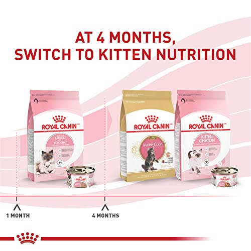 Feline Health Nutrition Mother & Babycat Queen Ultra Soft Mousse in Sauce Cat Food (3 Ounce (Pack of 24))