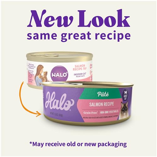 Pate Wet Cat Food