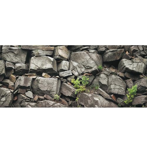24X16IN Stone Aquarium Background (24X16in/60X40cm / Stone)