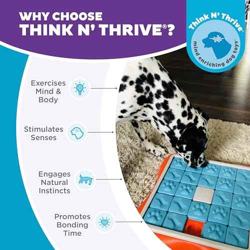 Nina Ottosson Challenge Slider Dog Toy Treat Puzzle