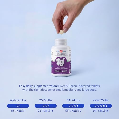 Hip and Joint Supplement for Dogs