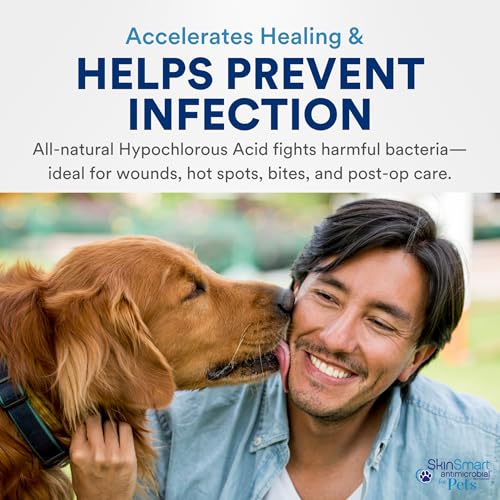Wound Care for Pets
