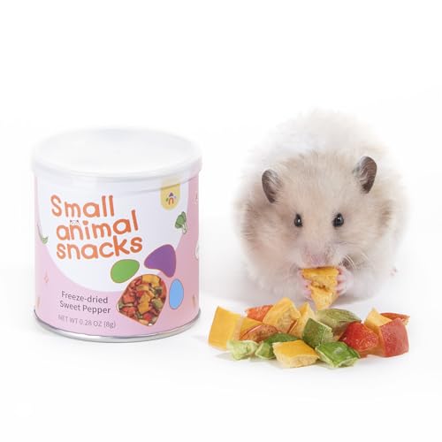 Hamster Snack & Treats Toy