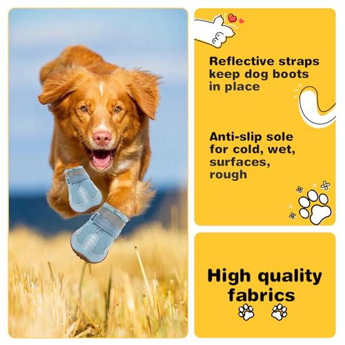Dog Boots Dog Shoes for Large Dogs (Blue / Width 2.75 in)