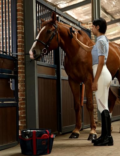 Horse Grooming Kit (Shadowberry)