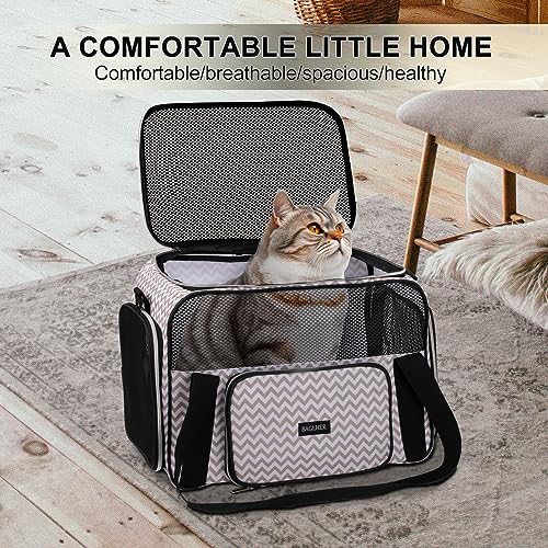Pet Travel Carrier (BLW)