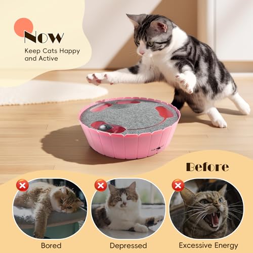 Interactive Cat Toy with Running Mouse (P-Pink)