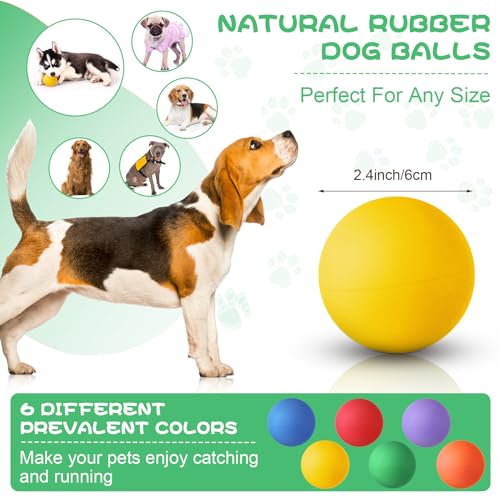 24 Pieces Rubber Dog Tennis Balls for Dog Colorful Catching Pet Balls for Fetch Training 2.4 Inch Interactive Bounce and Floatable Toy for Park Beach
