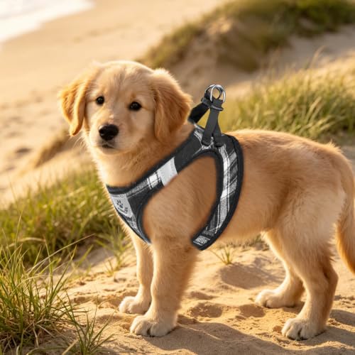 Dog Harness Collar and Leash Set No Pull for Small Medium Sized (Black / L (CHEST 18"-20"))