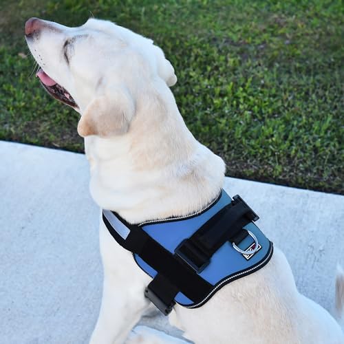 Dog Harness Reflective No (Blue / Girth 27" to 34")
