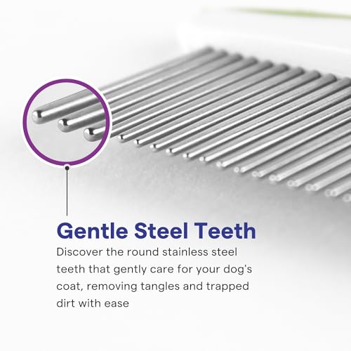 Dog & Cat Comb