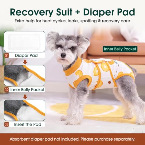 Recovery Suit for Dogs Cats (S (Back:11.4-13.4'', Weight:7-15 Lb) / Pineapple Citrus)
