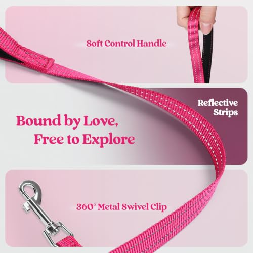 Dog Harness Medium Sized and Leash Set (Pink Berry / M (chest: 16 - 18.5"))