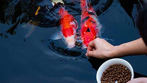 Premium Floating Fish Food
