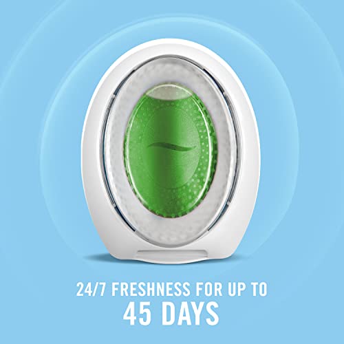 SMALL SPACES Fresh (3 Count (Pack of 1))