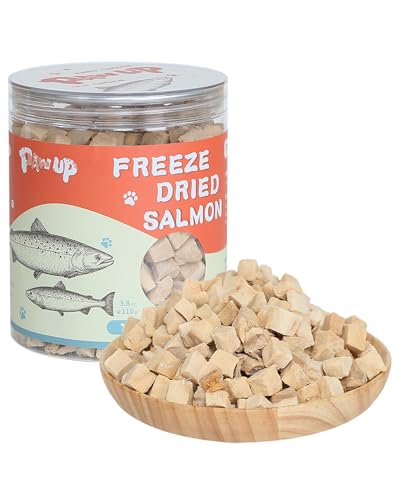Freeze Dried Salmon Dog Treats