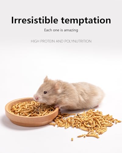 Small Animal Snack & Treats