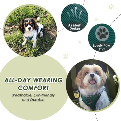Dog Car Harness Seat Belt (Large / ·Green)