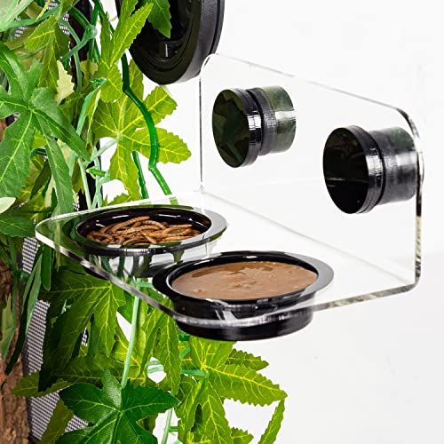 Feeding Cups 50PCS for Magnetic Feeding Ledge
