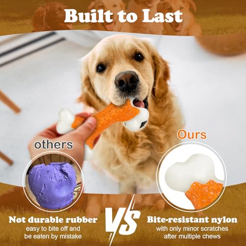 10 Pack Dog Chew Toys (10PC-Peanut Butter-Orange)