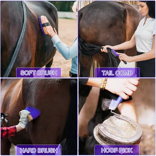 Horse Grooming Kit
