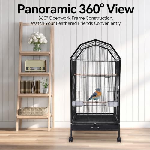 40 Inch Wrought Iron Bird Cage with Open