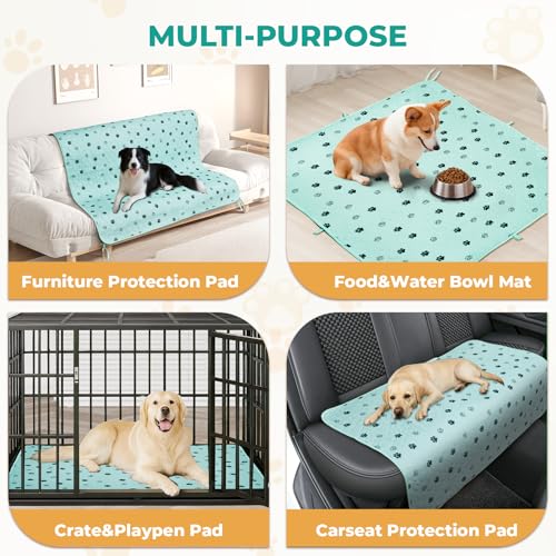 Washable Pee Pads for Dogs (Green / 36*48 Inch (Pack of 2))