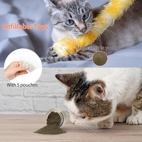 Premium Catnip for Cats & Kittens (15g)