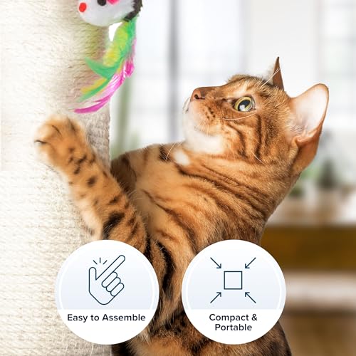 Cat Scratching Post (Brown)