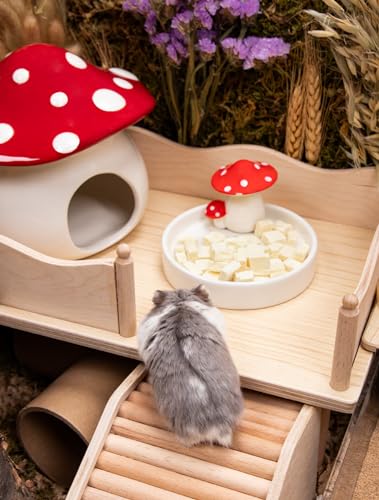 Hamster Snack Treat Toy