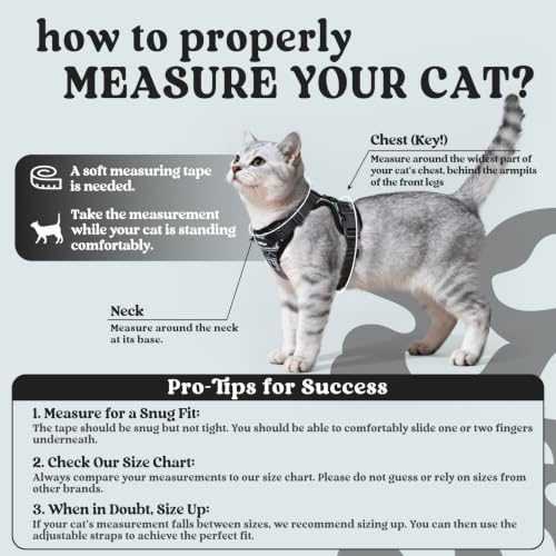 Cat Harness and Leash Set (M / Pixel Tabby)