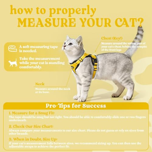 Cat Harness and Leash Set (M / Yellow)